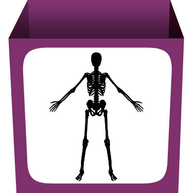 human_skeleton_1
